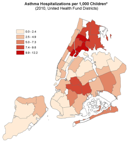 source: Citizen's Committee for Children of New York (2013). Keeping Track of New York City's Children, Tenth Edition. Figure 4.15